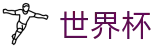 2026世界杯(World Cup)中文官方网站